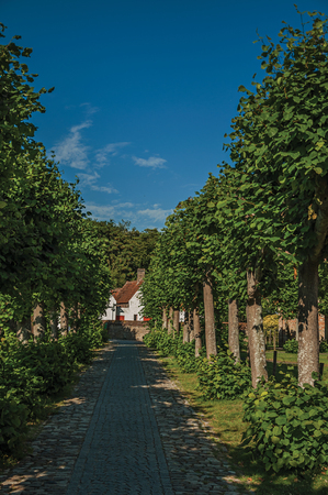 Pathway with trees in garden of medieval church ruins, in the late afternoon light at Damme. A quiet and charming countryside near Bruges. Northwestern Belgium.の写真素材