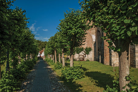 Pathway with trees in garden of medieval church ruins, in the late afternoon light at Damme. A quiet...