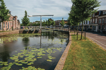 Tree-lined canal with aquatic plants, brick houses and bridge in sunny day in Weesp. Quiet and pleasant village full of canals and green near Amsterdam.のeditorial素材