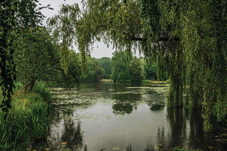 Small lake amid wooded gardens on a rainy day at De Haar Castle, near Utrecht. Of medieval origin, it underwent reforms until assuming a richly decorated Gothic style. Northern Netherlands.の写真素材