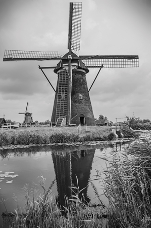 Windmills, bushes and large canal in a cloudy day at Kinderdijk. Situated in a polder, has the largest concentration of old windmills in the country. Southern Netherlands. Black and white photo.の写真素材