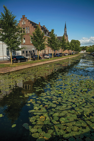 Weesp, northern Netherlands - June 26, 2017. Tree-lined canal with aquatic plants, church bell tower and brick houses at the bank on sunset in Weesp. Quiet and pleasant village full of canals and green near Amsterdam.のeditorial素材