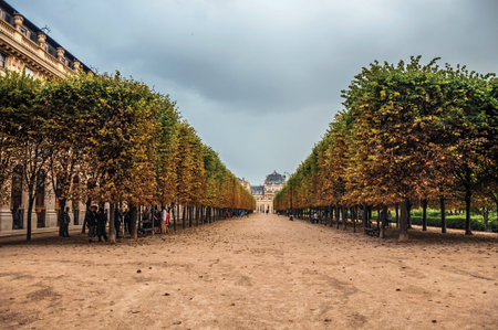 Paris, northern France - July 10, 2017. Pathway and garden lined trees on rainy day at the Palais-Royal in Paris. Known as the "City of Light", it is one of the most impressive cultural centers in the world.のeditorial素材