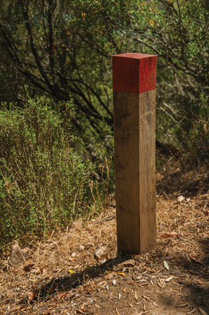 Close-up of small wooden pole next to a dirt trail to mark the right path at the Monfrague National Park. A remarkable place with a beautiful ridge and noted for its bird-life in western Spain.の写真素材