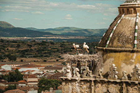 Nest of storks on top of gothic stone tower with cupola and rural landscape on a sunny day at...