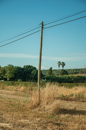 Close-up of light poles over field covered by straw at rural landscape sunset near Elvas. A gracious star-shaped fortress city on the easternmost frontier of Portugal.の写真素材