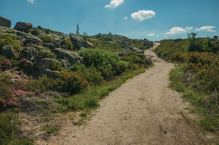 Rough hiking trail passing through rock formations covered by bushes on highlands, in a sunny day at the Serra da Estrela. The highest mountain range in continental Portugal, with astonishing scenery.の写真素材