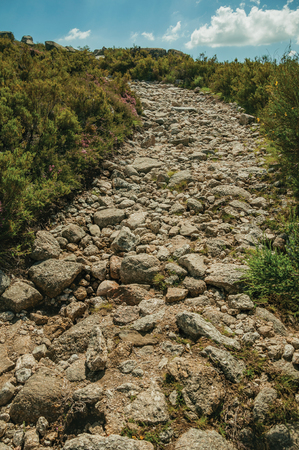 Rough hiking trail going through rocky terrain covered by bushes on highlands, in a sunny day at the Serra da Estrela. The highest mountain range in continental Portugal, with astonishing scenery.の写真素材