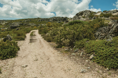 Rough hiking trail going through rocky terrain covered by bushes on highlands, in a sunny day at the Serra da Estrela. The highest mountain range in continental Portugal, with astonishing scenery.の写真素材