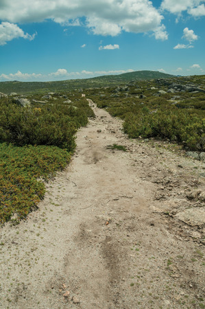 Rough hiking trail going through rocky terrain covered by bushes on highlands, in a sunny day at the Serra da Estrela. The highest mountain range in continental Portugal, with astonishing scenery.の写真素材