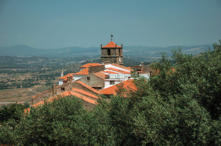 Rooftops of old stone houses with church steeple and leafy olive tree tops, on hilly landscape in a...