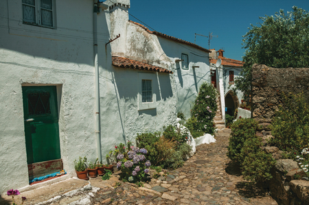 Lovely facade of old houses with whitewashed wall in a cobblestone alley with flower bed at Castelo de Vide. Nice little town with medieval castle to ensure the defense of the Portugal eastern border.の写真素材