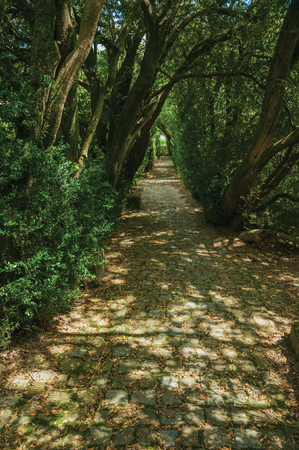 Garden with cobblestone pathway and leafy trees making a shaded tunnel, in a sunny day at Gouveia. A nice country town with gardens and captivating historical heritage in Portugal.の写真素材