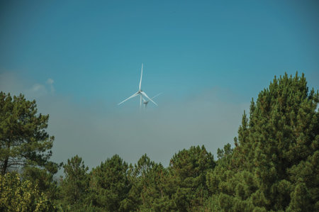 Wind turbines for electric power generation partially covered by mist above treetops, in a sunny day...