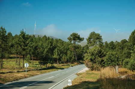 Road passing through trees and bushes with wind turbines over hill, in a sunny day at the highlands...
