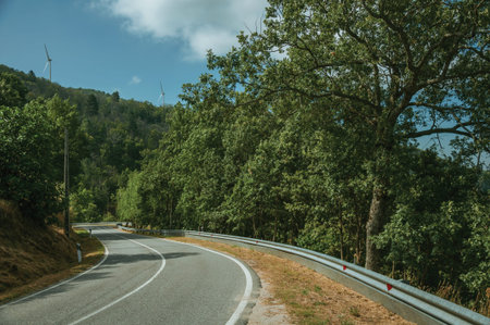 Road passing through rocky landscape covered by trees and bushes, in a sunny day at the highlands of...