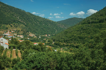 Hilly landscape covered by trees and country houses with fields, in a sunny day at the highlands of...