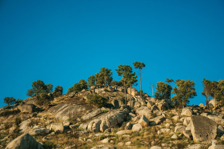 Hilly landscape covered by big rocks and dry undergrowth with green trees, on sunset at the highlands of Serra da Estrela. The highest mountain range in continental Portugal, with astonishing scenery.の写真素材