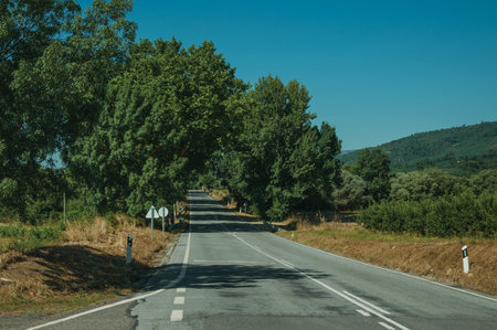 Empty straight paved road passing through rural landscape with peach trees farm, on sunny day near...
