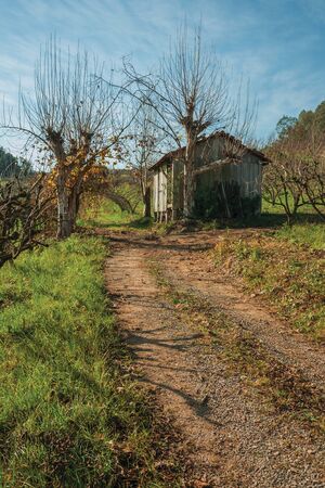 Dirt road going through a rural autumn landscape with a small shabby shack, in a vineyard near Bento Goncalves. A friendly country town in southern Brazil famous for its wine production.の写真素材