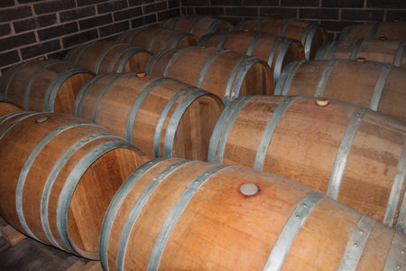 Rows with many wooden barrels for aging and storage of wine in a winery cellar near Bento Goncalves....