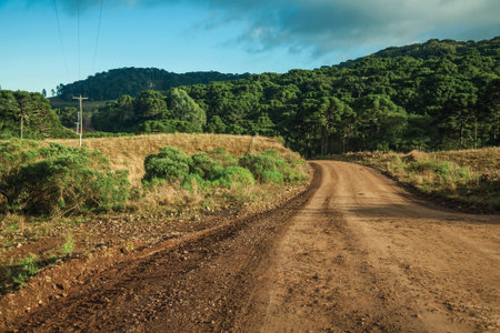 Deserted dirt road passing through rural lowlands called Pampas with green hills and trees near Cambara do Sul. A small country town in southern Brazil with amazing natural tourist attractions.の写真素材