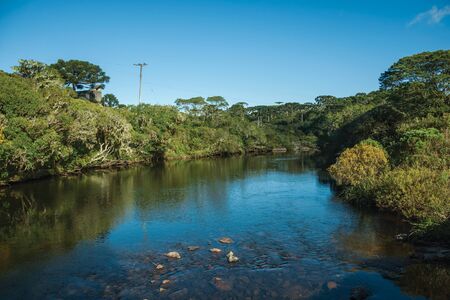 Crystal clear water on a creek running through forest at the Aparados da Serra National Park near Cambara do Sul. A small country town in southern Brazil with amazing natural tourist attractions.の写真素材