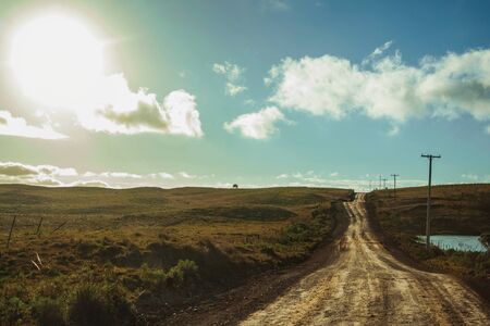 Deserted dirt road passing through rural lowlands called Pampas with green hills and sunlight near Cambara do Sul. A small country town in southern Brazil with amazing natural tourist attractions.の写真素材