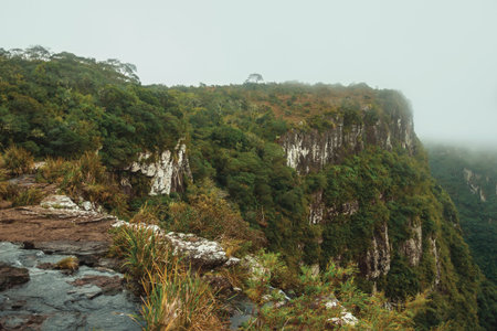 Creek on waterfall edge with steep rocky cliffs covered by forest at Serra Geral National Park near Cambara do Sul. A small country town in southern Brazil with amazing natural tourist attractions.の写真素材