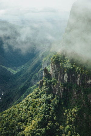 Fortaleza Canyon with steep rocky cliffs covered by thick forest and fog coming up the ravine near Cambara do Sul. A small country town in southern Brazil with amazing natural tourist attractions.の写真素材