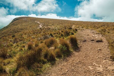 Rocky trail going up through dry bushes towards a cliff on top of Fortaleza Canyon in a sunny day near Cambara do Sul. A small country town in southern Brazil with amazing natural tourist attractions.の写真素材