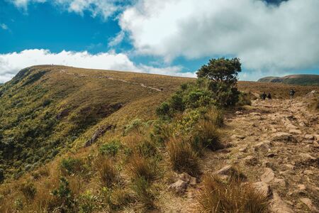 Rocky trail going up through dry bushes towards a cliff on top of Fortaleza Canyon in a sunny day near Cambara do Sul. A small country town in southern Brazil with amazing natural tourist attractions.の写真素材
