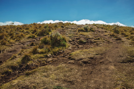 Rocky trail going up through dry bushes to the top of cliff at Fortaleza Canyon, in a sunny day near...