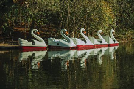 Detail of pedal boats made of fiberglass in the shape of swan on a lake at the Immigrant Village Park of Nova Petropolis. A lovely rural town founded by German immigrants in southern Brazil.の写真素材