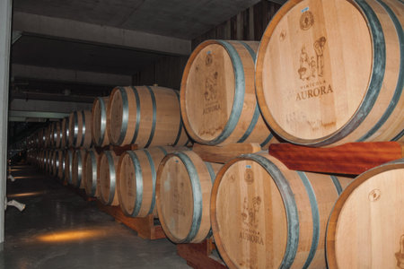 Bento Goncalves, Brazil - July 11, 2019. Pile of wood barrels for storage and wine aging in a cellar...