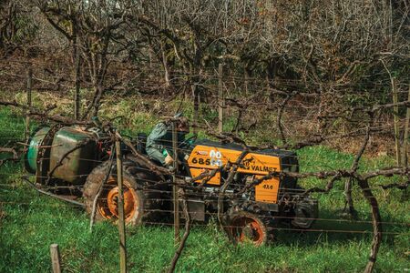 Bento Goncalves, Brazil - July 12, 2019. Landscape with a farmer on a tractor amid leafless grapevines, in a vineyard near Bento Goncalves. A friendly country town famous for its wine production.のeditorial素材