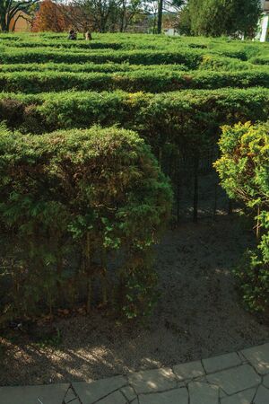 Nova Petropolis, Brazil - July 20, 2019. Entrance of a maze made of evergreen bushes and people in a lush garden at Nova Petropolis. A lovely rural town founded by German immigrants.のeditorial素材