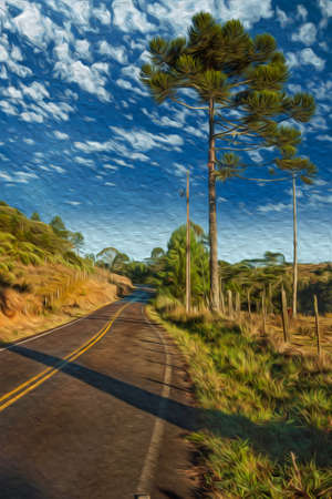 Road on rural lowlands called Pampas alongside trees and barbed wire fence near Cambara do Sul. A small country town in southern Brazil with amazing natural tourist attractions. Oil Paint filter.のeditorial素材