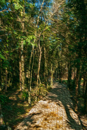 Paved pathway passing through wooded landscape in the Sculpture Park Stones of Silence near Nova Petropolis. A lovely rural town founded by German immigrants in southern Brazil. Oil Paint filter.のeditorial素材