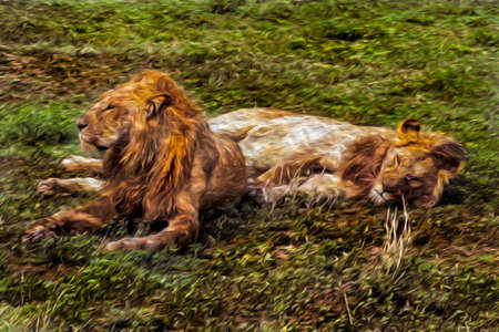 Lions lying lazily over green grass in the flat landscape of Serengeti National Park. A conservation area in the African savanna where several species of large mammals live. Oil paint filter.の写真素材