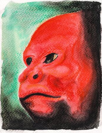 Portrayal of the human-like red face of an Uakari monkey. Watercolor painting.の写真素材