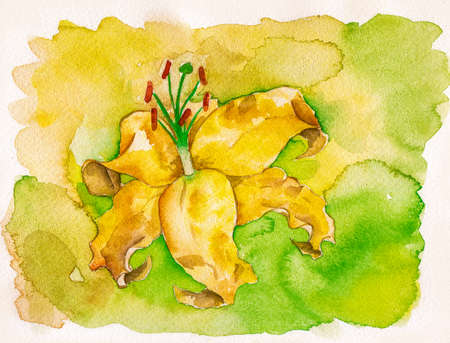 Portrayal of a yellow flower in yellow and green background. Watercolor painting.の写真素材