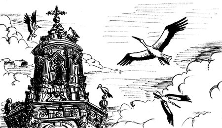 Storks flying and nesting on top of baroque belfry at LogroÃ±o. A charming town on the Way of St....