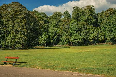 Bench on lawn, trees and blue sky at Laeken Park in Brussels. The vibrant and friendly capital of Belgium.の写真素材