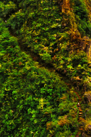 Trail through steep cliff with rainforest in the Peruvian Andes. The highest region with the largest mountain range in America. Oil paint filter.の写真素材