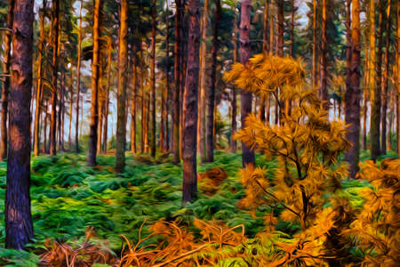 Pine twig and trees in the Sherwood Forest near Nottingham. The famous city for its link to the Robin Hood legend, in England. Oil paint filter.の写真素材
