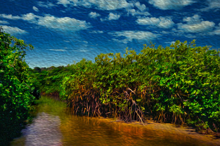 Little stream going through a thicket in a tropical mangrove. At the sunny beach of Itaunas in the northwestern Brazilian coastline. Oil Paint filter.の写真素材