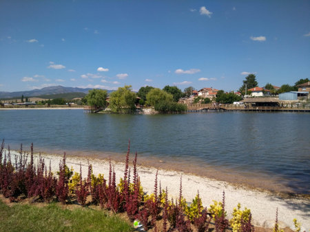 landscape with lake
