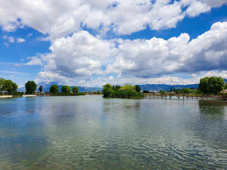 river in the parkの写真素材