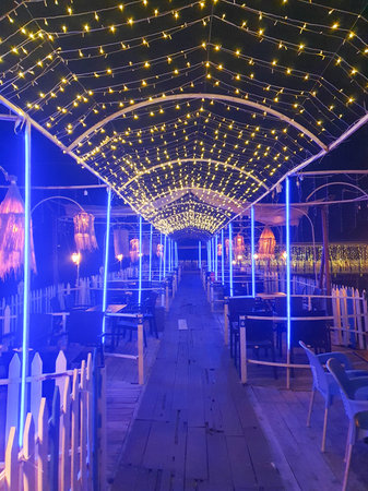 Night view of a restaurant decorated with blue lights, closeup of photoの写真素材